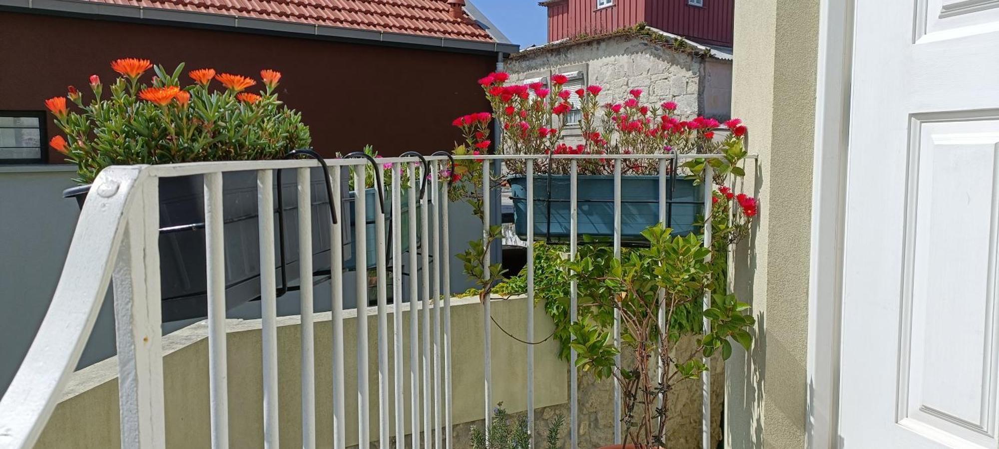 Green House / Casa Verde Porto Exterior photo