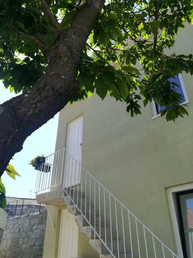 Green House / Casa Verde Porto Exterior photo
